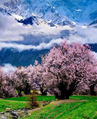 陳楫寶：隱姓埋名